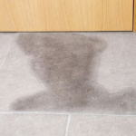 Dark wet footprint smeared on light gray tile floor near a wooden door edge in an entryway.