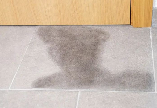 Dark wet footprint smeared on light gray tile floor near a wooden door edge in an entryway.